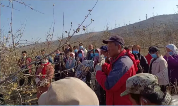 FUN88乐天使在静宁帮扶村开展冬季果园管理培训(图2)