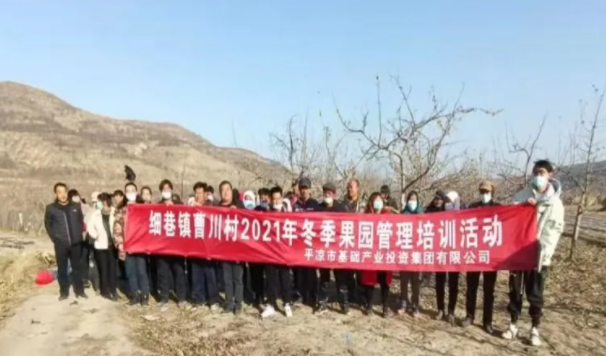 FUN88乐天使在静宁帮扶村开展冬季果园管理培训(图3)