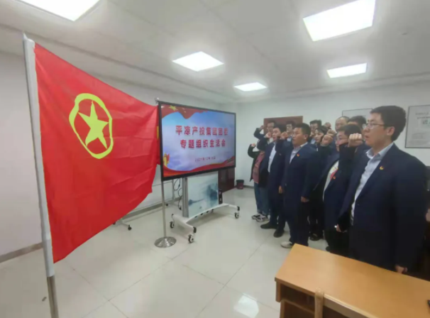 FUN88乐天使团委召开2021年度专题组织生活会(图5)