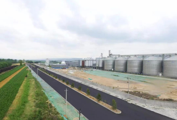 FUN88乐天使上半年项目建设进展顺利(图9)