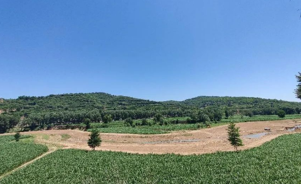 FUN88乐天使上半年项目建设进展顺利(图12)