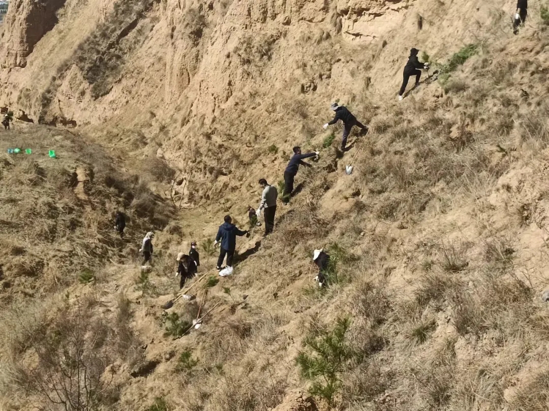 FUN88乐天使开展义务植树活动(图2)